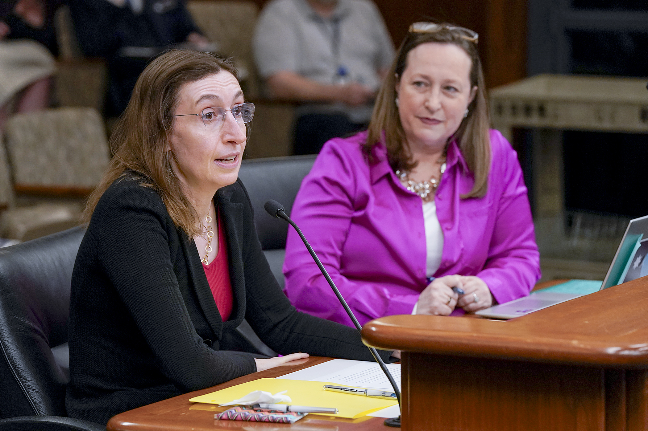 University of Minnesota Law Professor Jill Hasday testifies before the House labor and industry committee in support of HF3587. Sponsored by Rep. Kristin Bahner, it'd require employers to disclose salary ranges in job postings. (Photo by Michele Jokinen)